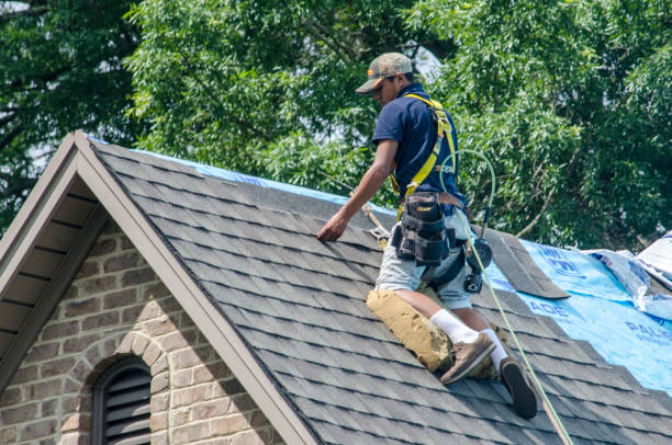 Best Storm Damage Roof Repair  in Freeport, IL